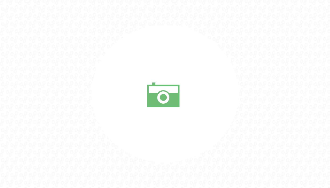 Comment optimiser votre équipement pour la pêche des gros carnassiers ?